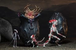 NECA Alien Covenant Figuren - Accessory Creature Pack -Sammlerwelt Verkauf 028d2db8806c70af508a0775adade5e9f75e5863d6aa2c7dacce57662ce3f518