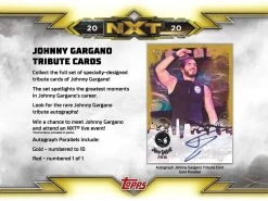 Topps - WWE NXT Hobby Booster Display 2020 (EN) -Sammlerwelt Verkauf 2020 topps wwe nxt 4