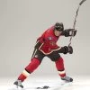 NHL Figur Serie XXIV/2010 Wave I (Robyn Regehr)