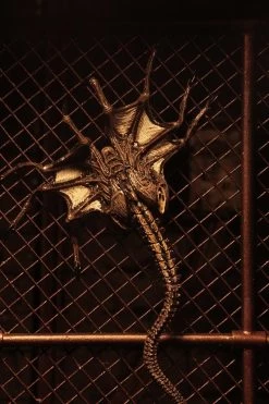 NECA Alien 3 Figuren - Accessory Creature Pack -Sammlerwelt Verkauf 650519fd1d02afade92b6220134166a09d18ce077c8a3c76c37d959917e68d3f