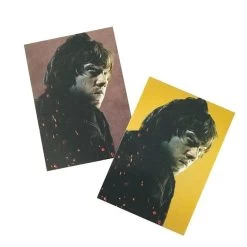 Panini Harry Potter Evolution Trading Cards Starterset (EN) 22 Panini Harry Potter Evolution Trading Cards Starterset (EN) -Sammlerwelt Verkauf harry potter cards 2021 beispiel gold parallel3qle1q6i45ayd 2