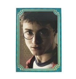Panini Harry Potter Evolution Trading Cards Starterset (EN) 24 Panini Harry Potter Evolution Trading Cards Starterset (EN) -Sammlerwelt Verkauf harry potter evolution basecard 2